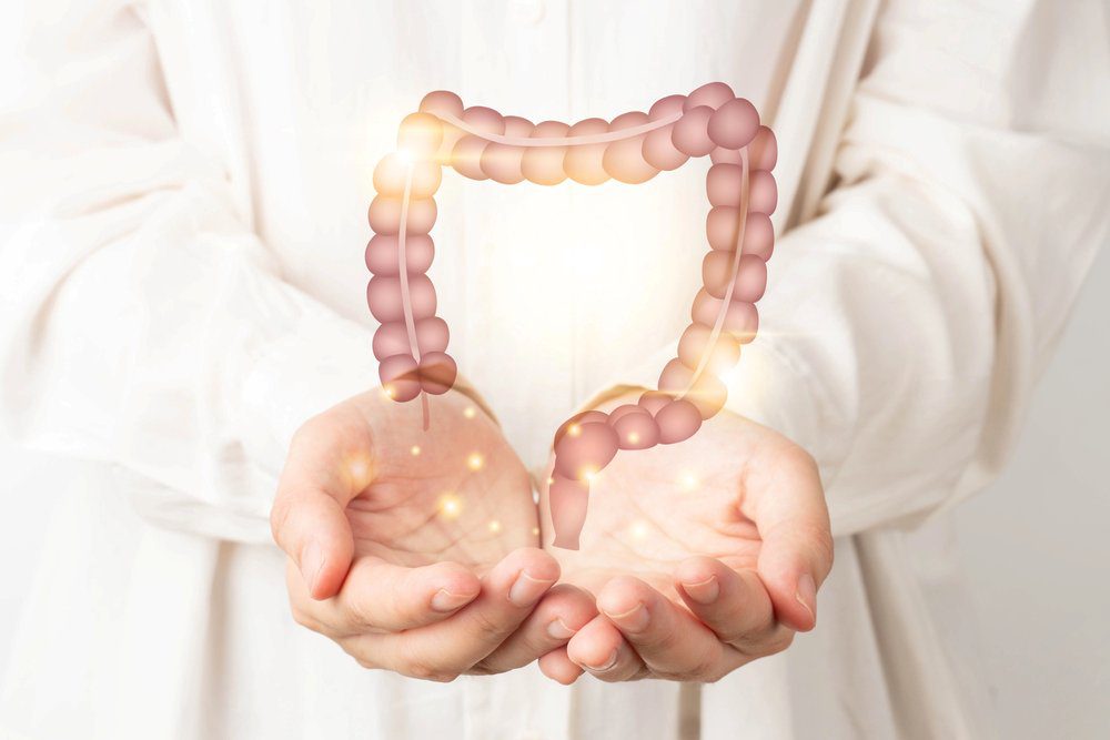 prebiotics and probiotics